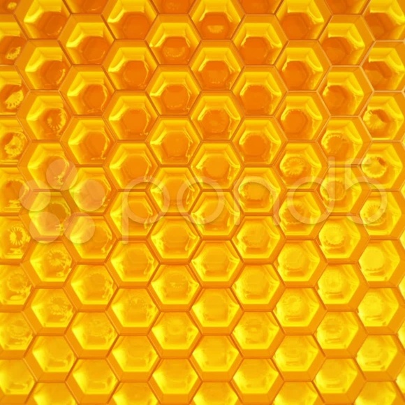 Meet your Posher, Sonia - Picture 1 of 1